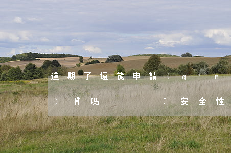 逾期了還能申請(qǐng)網(wǎng)貸嗎？安全性如何？知乎上有相關(guān)回答嗎？
